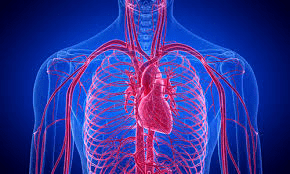 CT Angiography In Pune